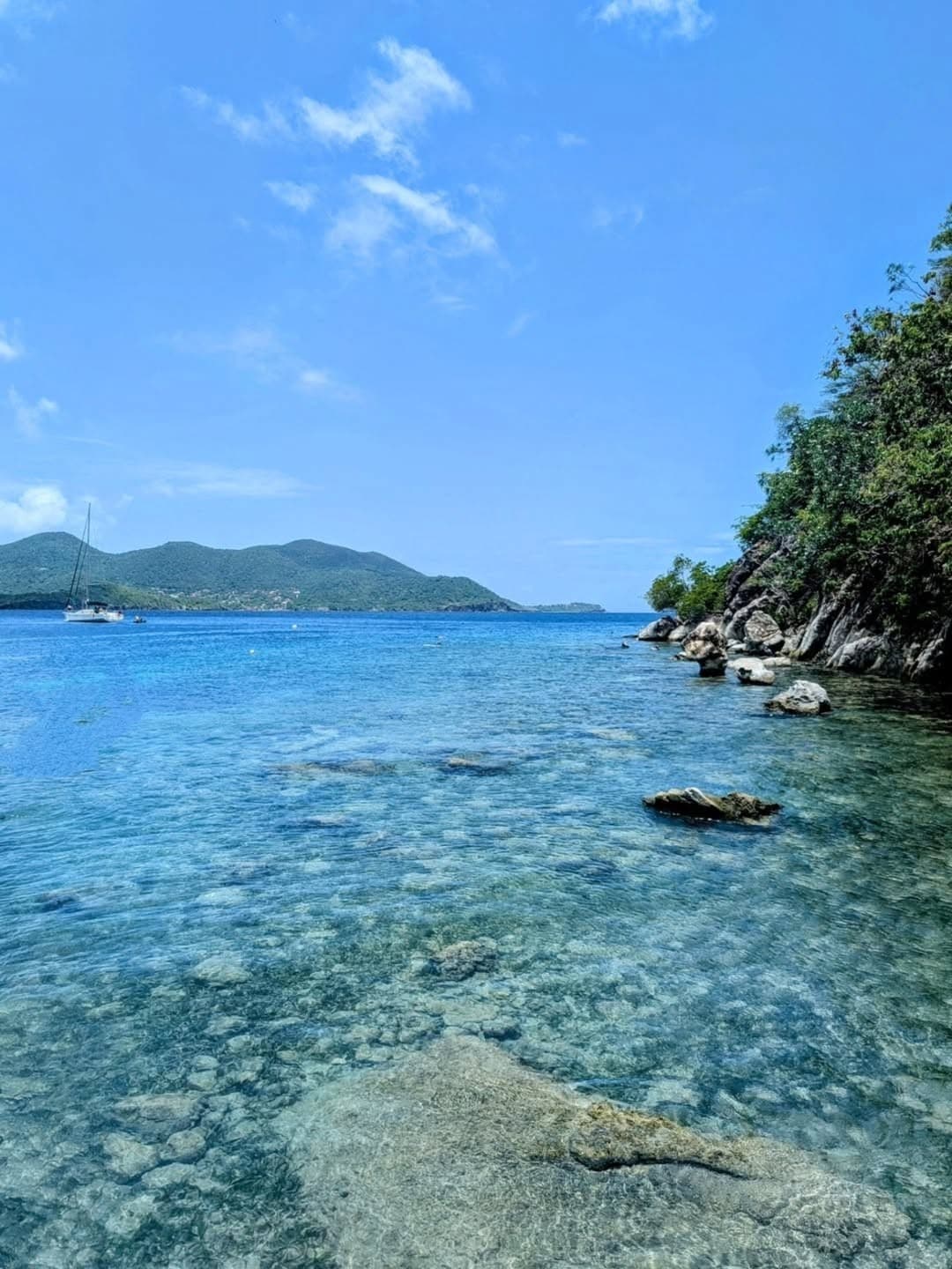Voilier au mouillage devant une côte boisée aux eaux transparentes