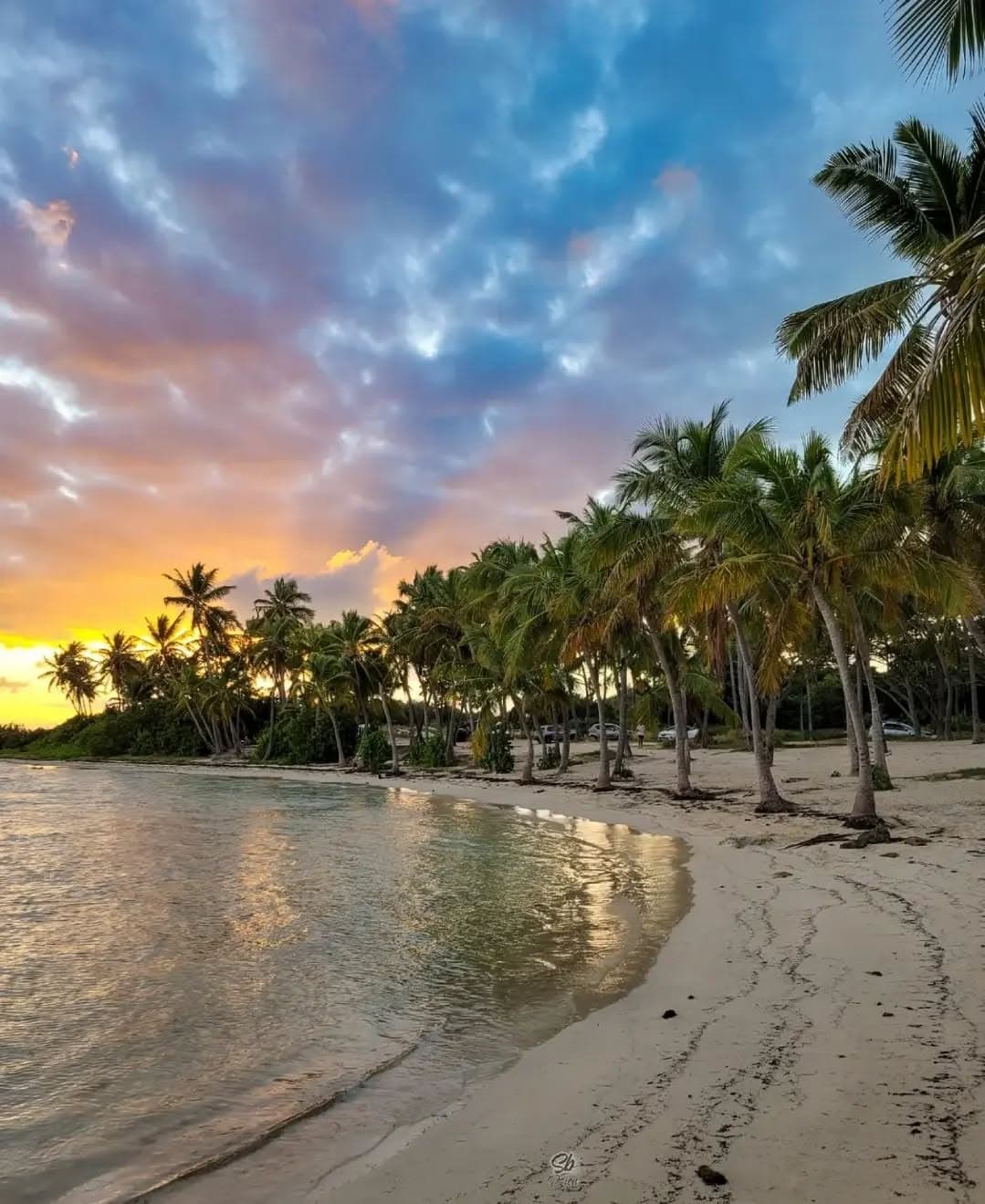 Coucher de soleil sur une plage bordée de cocotiers en Guadeloupe