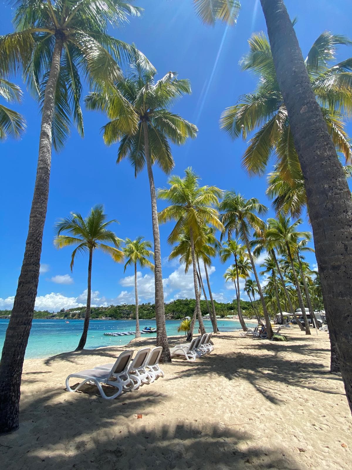 Plage bordée de cocotiers et transats face au lagon turquoise, à quelques minutes des villas