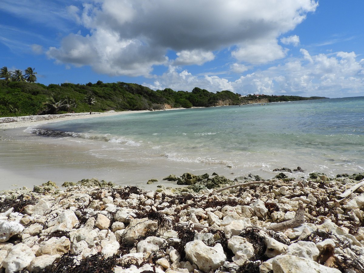 Plage de sable gris et de galets, la côte boisée au fond